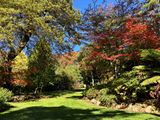 Windyridge Garden