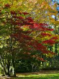 Bebeah Gardens