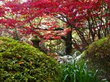 Bebeah Gardens