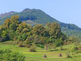 Landscape, Poienile Izei