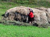 Hay Making by Hand