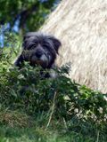 Walking Magura and Pestera Villages