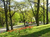 Vitabergsparken
