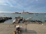 IMG_3344.jpeg
