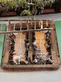 IMG_4415.jpeg