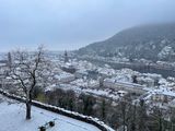 IMG_4529.jpeg