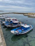 IMG_6035.jpeg