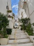 IMG_6121.jpeg
