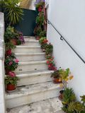 IMG_6122.jpeg