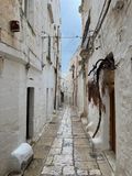 IMG_6135.jpeg