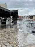 IMG_6147.jpeg