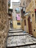 IMG_6163.jpeg