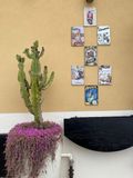 IMG_6045.jpeg