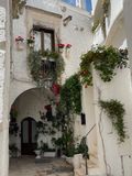 IMG_6291.jpeg