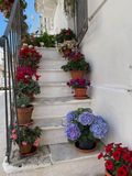 IMG_6294.jpeg