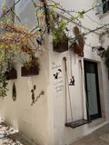 IMG_6299.jpeg