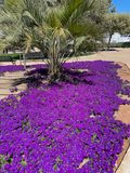 IMG_6412.jpeg