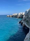 IMG_6433.jpeg