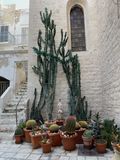 IMG_6434.jpeg
