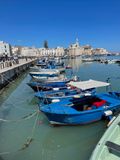 IMG_6451.jpeg