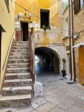 IMG_6502.jpeg