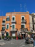 IMG_6510.jpeg