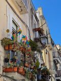 IMG_6519.jpeg