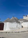 IMG_6365.jpeg