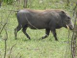 DSCN4407.JPG