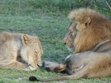DSCN4602.JPG