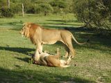 DSCN4606.JPG