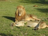 DSCN4627.JPG