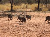 DSCN4930.JPG
