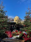 IMG_9278.jpeg