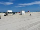 IMG_2565.jpg