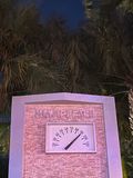 IMG_2594.jpg