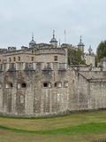 IMG_4788.jpg