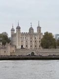 IMG_4826.jpg