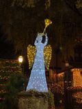 IMG_5706.jpg
