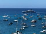 IMG_6535.jpg