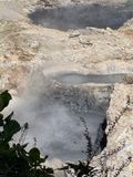IMG_6864.jpg