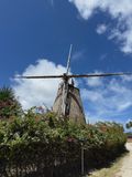 IMG_7005.jpg