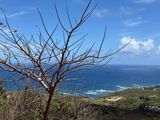 IMG_7025.jpg