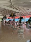 IMG_7036.jpg