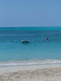 IMG_7072.jpg