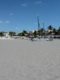 IMG_7073.jpg