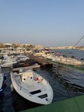 IMG_8282.jpg