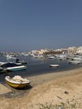 IMG_8356.jpg