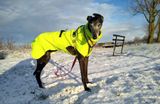 Hi viz with Dots