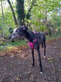Dotty at 10